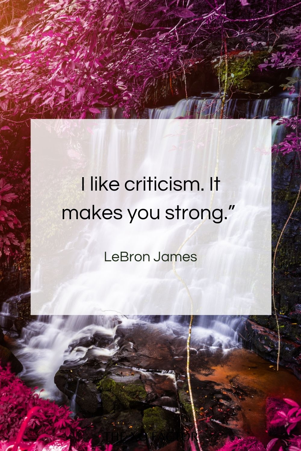 “I like criticism. It makes you strong.”  LeBron James