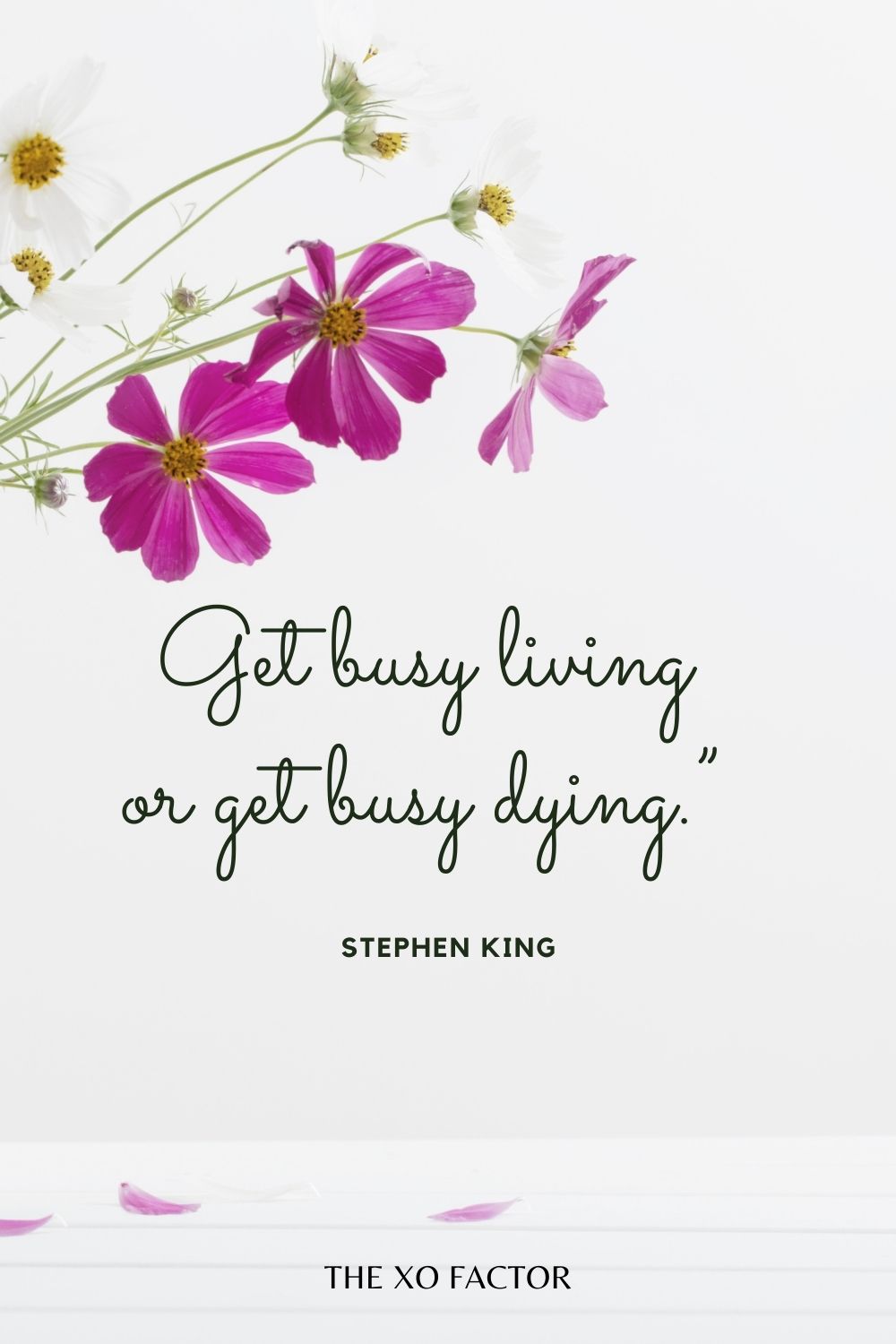 Get busy living or get busy dying.” Stephen King