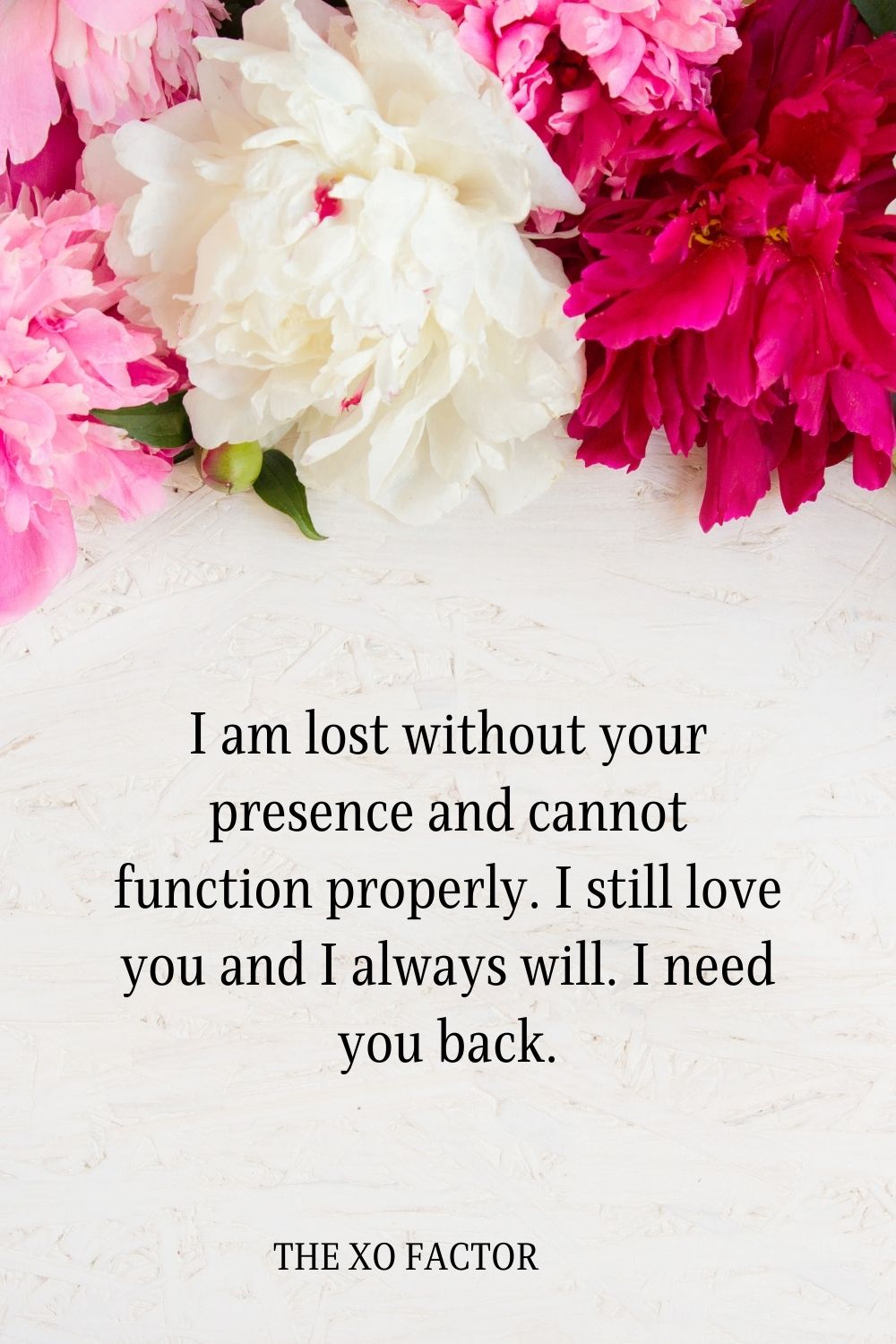 I am lost without your presence and cannot function properly. I still love you and I always will. I need you back.