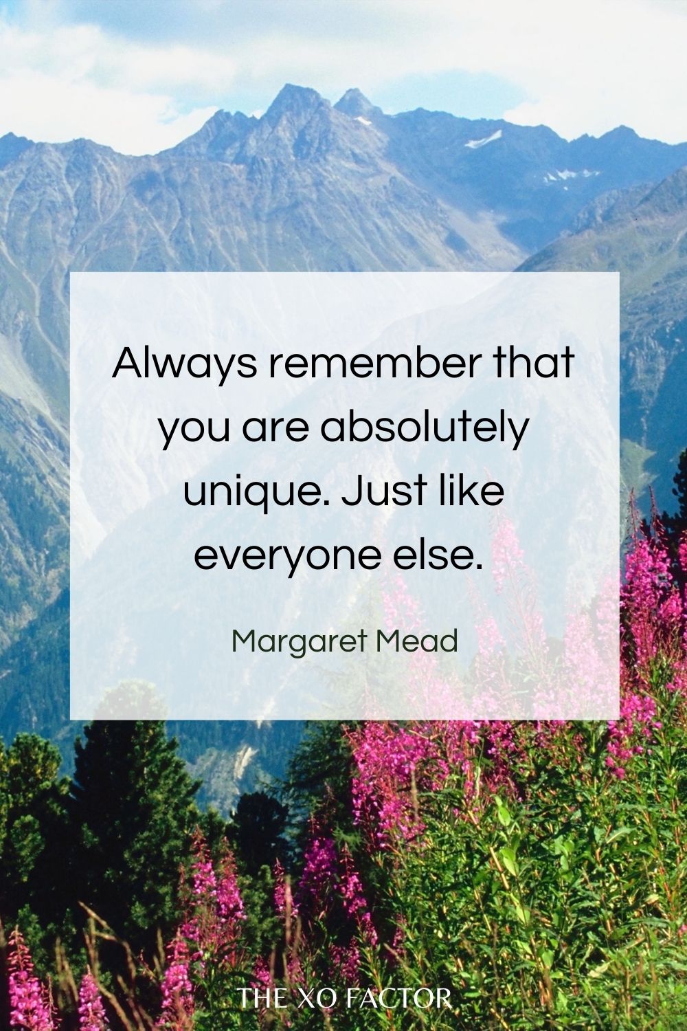 Always remember that you are absolutely unique. Just like everyone else.  Margaret Mead