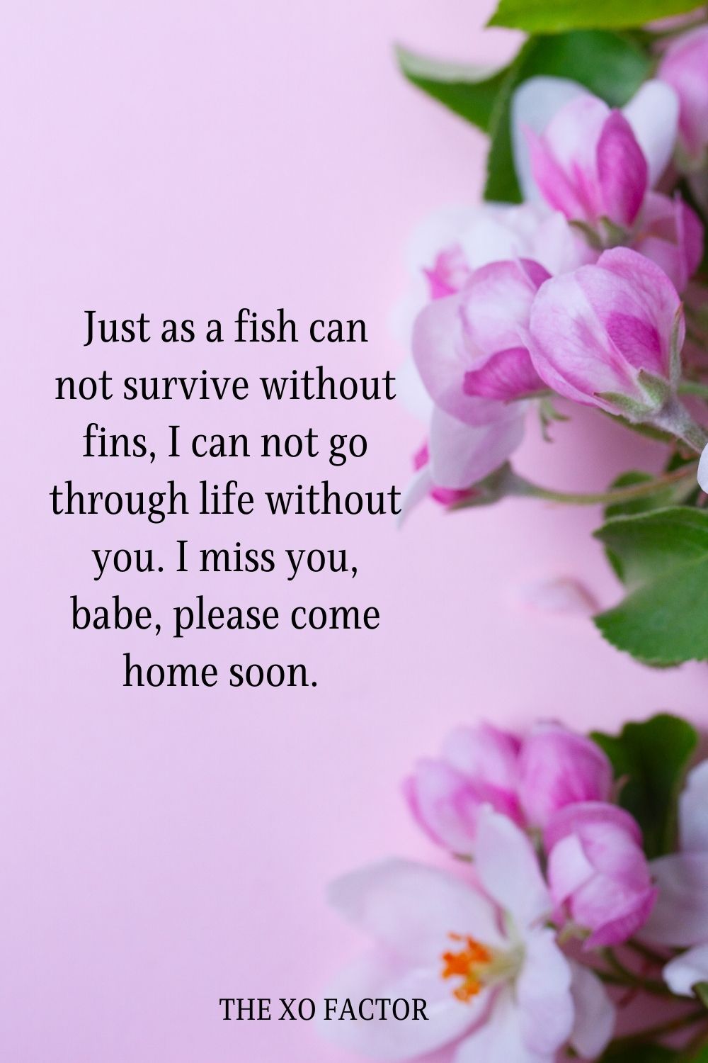 Just as a fish can not survive without fins, I can not go through life without you. I miss you, babe, please come home soon. 