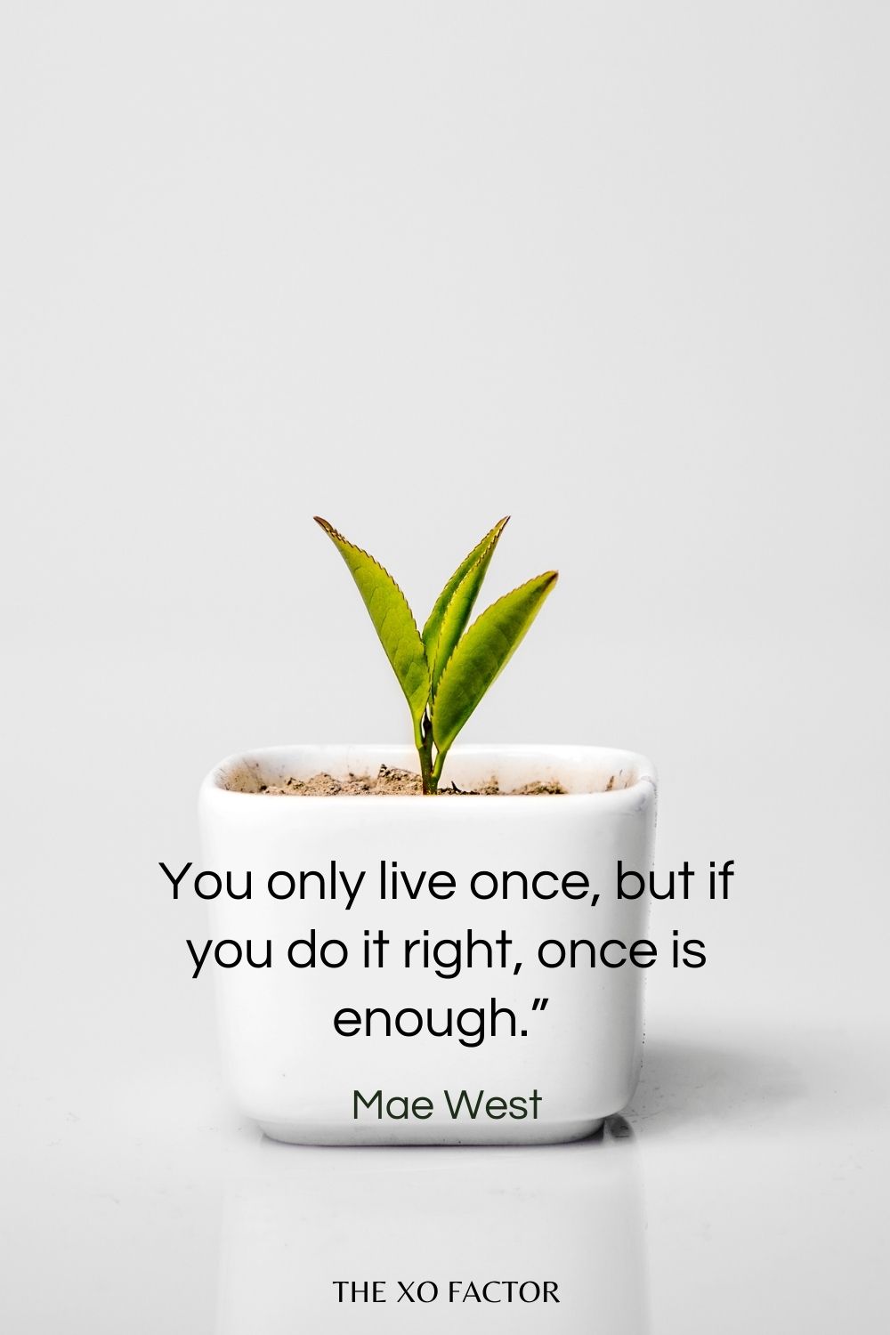 You only live once, but if you do it right, once is enough.” Mae West - quotes about life