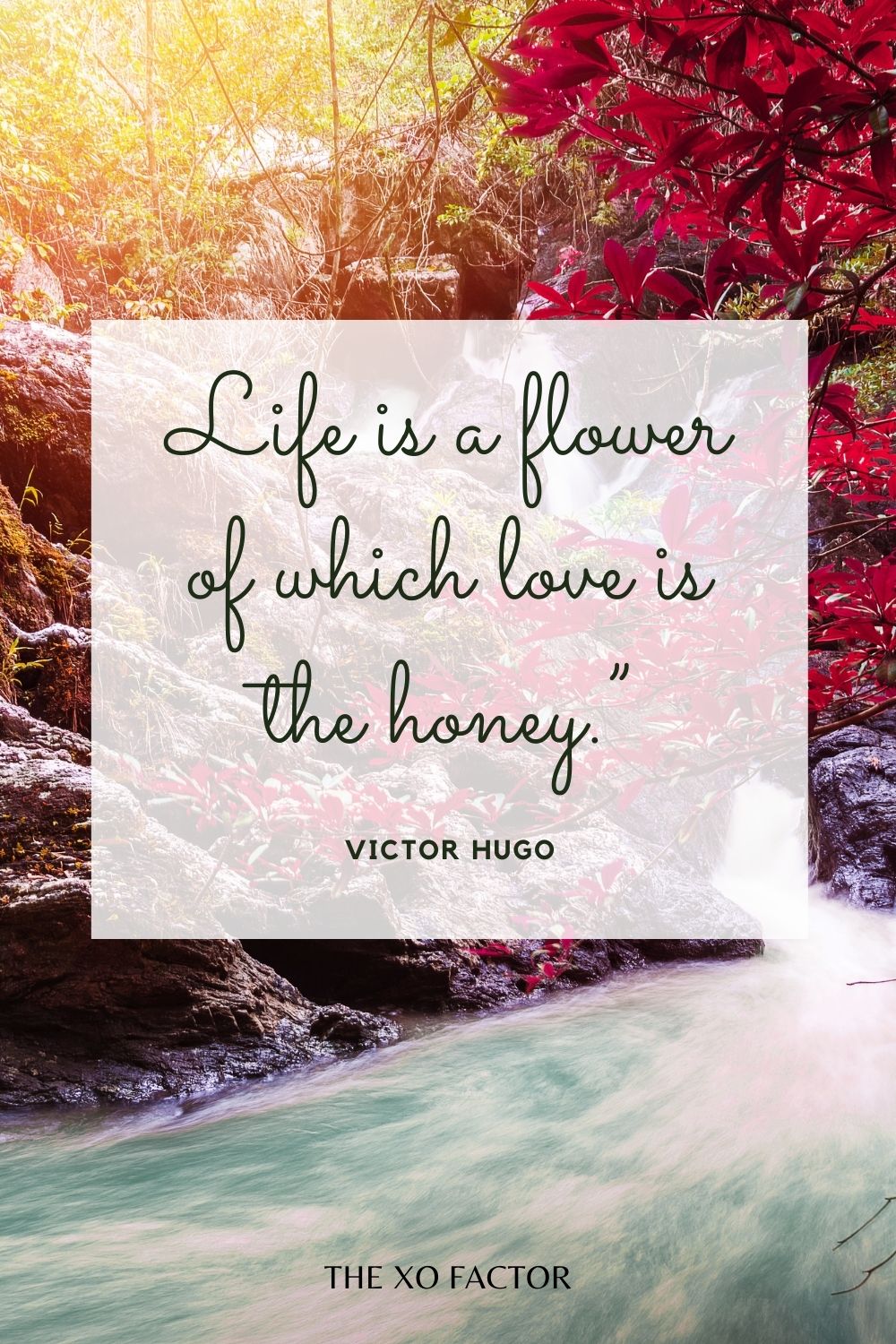 Life is a flower of which love is the honey.”  Victor Hugo
