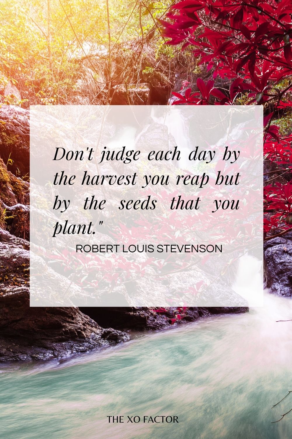 Don't judge each day by the harvest you reap but by the seeds that you plant."  Robert Louis Stevenson
