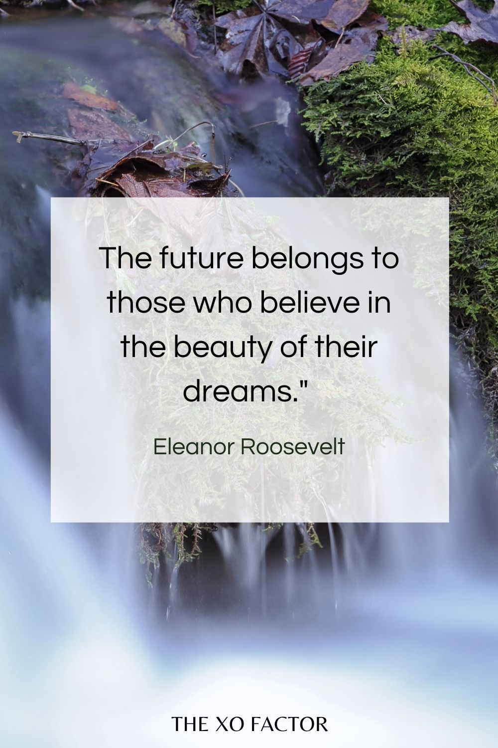 The future belongs to those who believe in the beauty of their dreams."  Eleanor Roosevelt