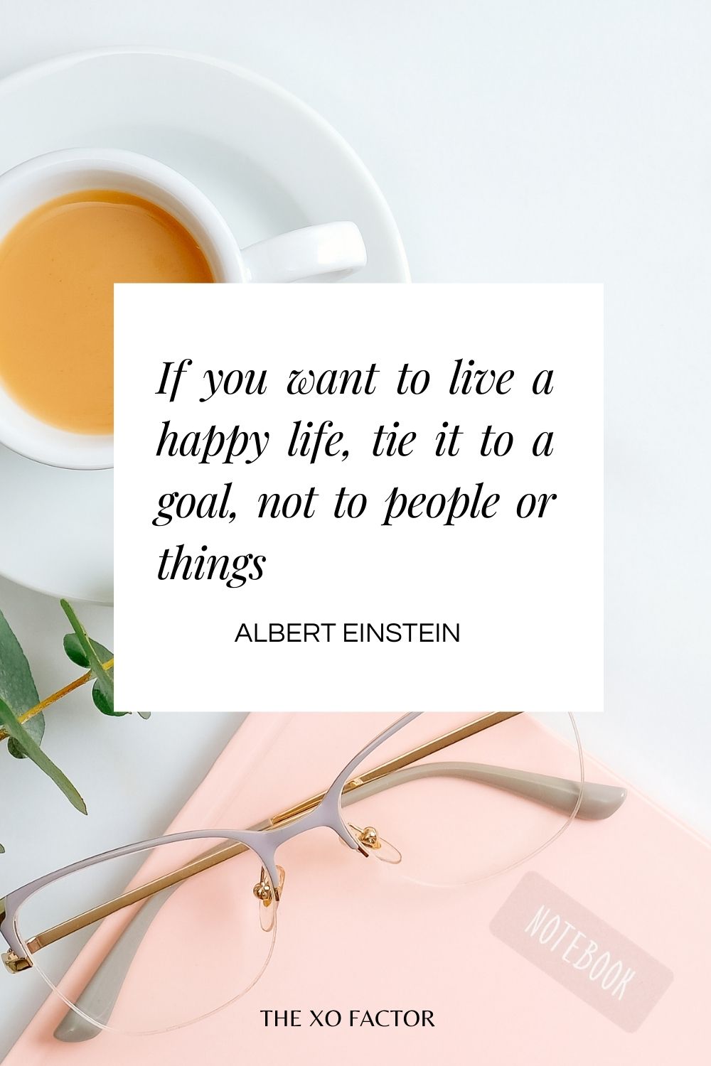 If you want to live a happy life, tie it to a goal, not to people or things.”– Albert Einstein