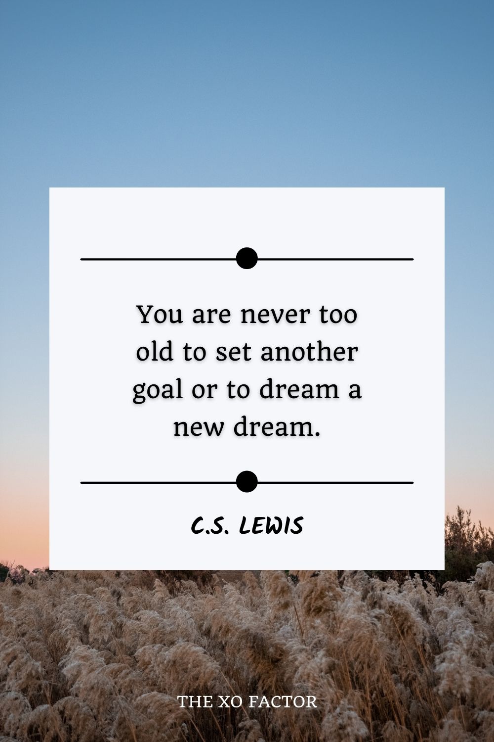 You are never too old to set another goal or to dream a new dream.” – C.S. Lewis