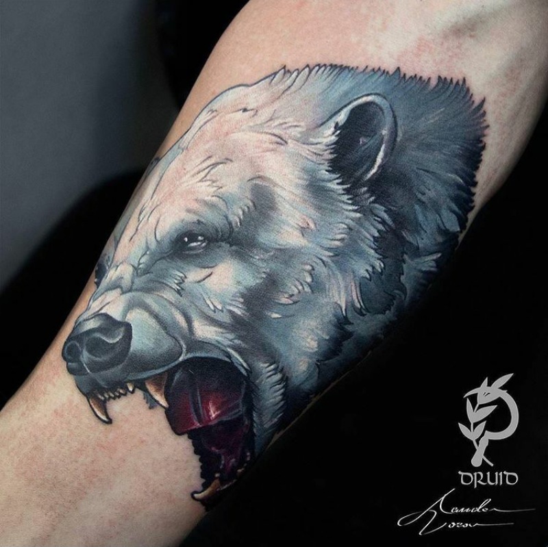 Latest Polar bear Tattoos  Find Polar bear Tattoos