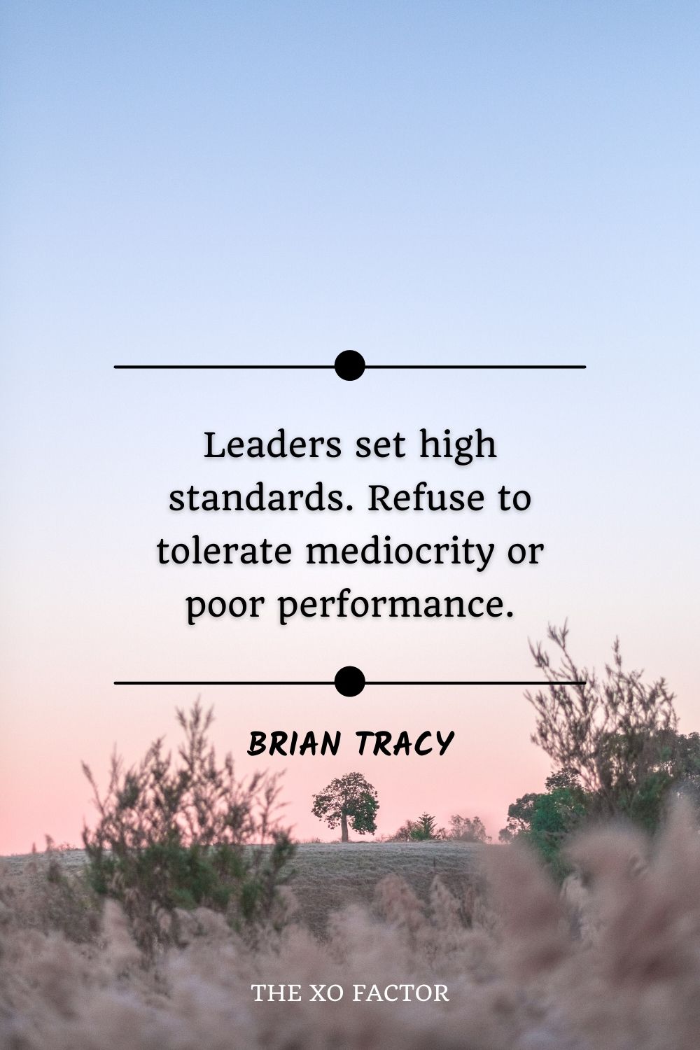Leaders set high standards. Refuse to tolerate mediocrity or poor performance.” – Brian Tracy