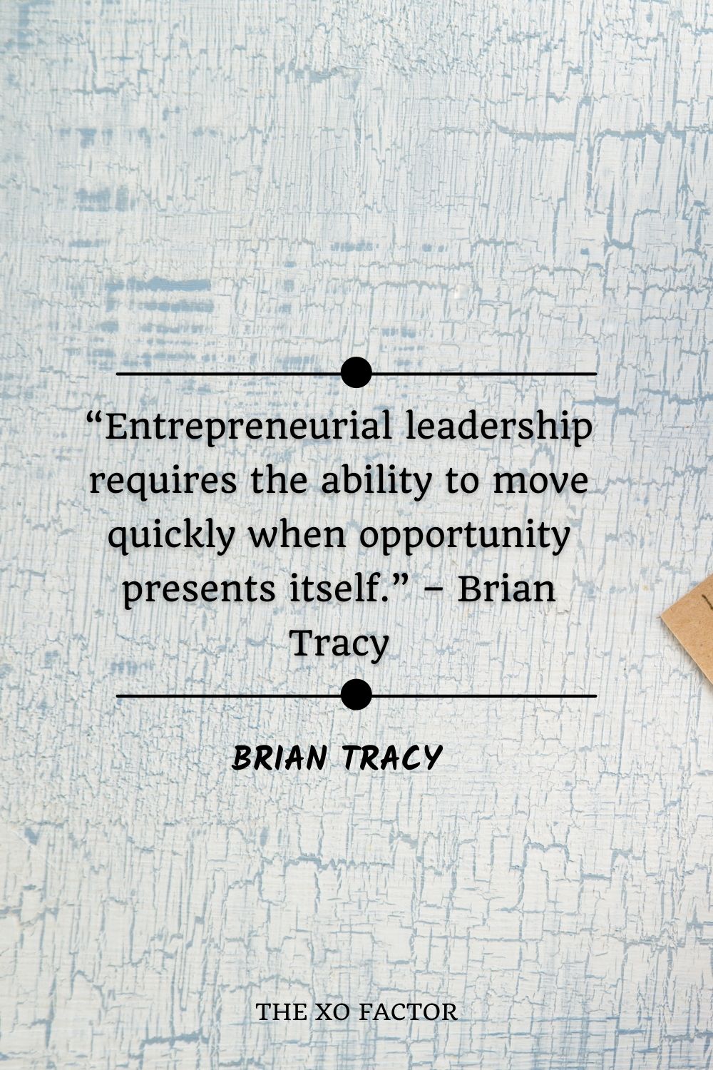 Entrepreneurial leadership requires the ability to move quickly when opportunity presents itself.” – Brian Tracy