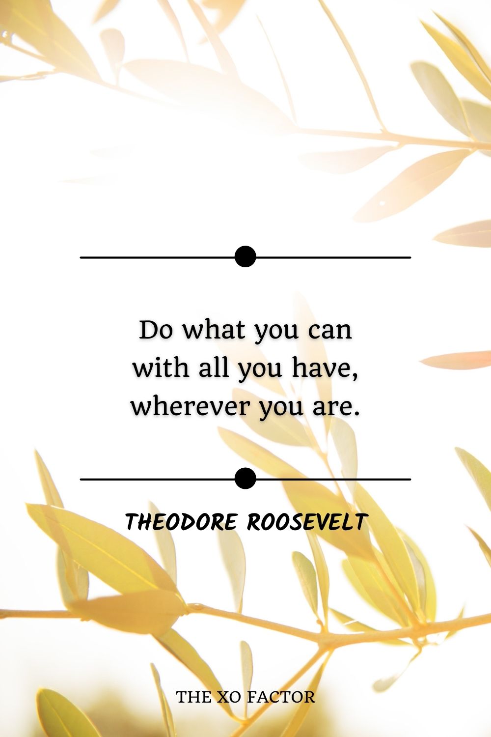 Do what you can with all you have, wherever you are.” – Theodore Roosevelt