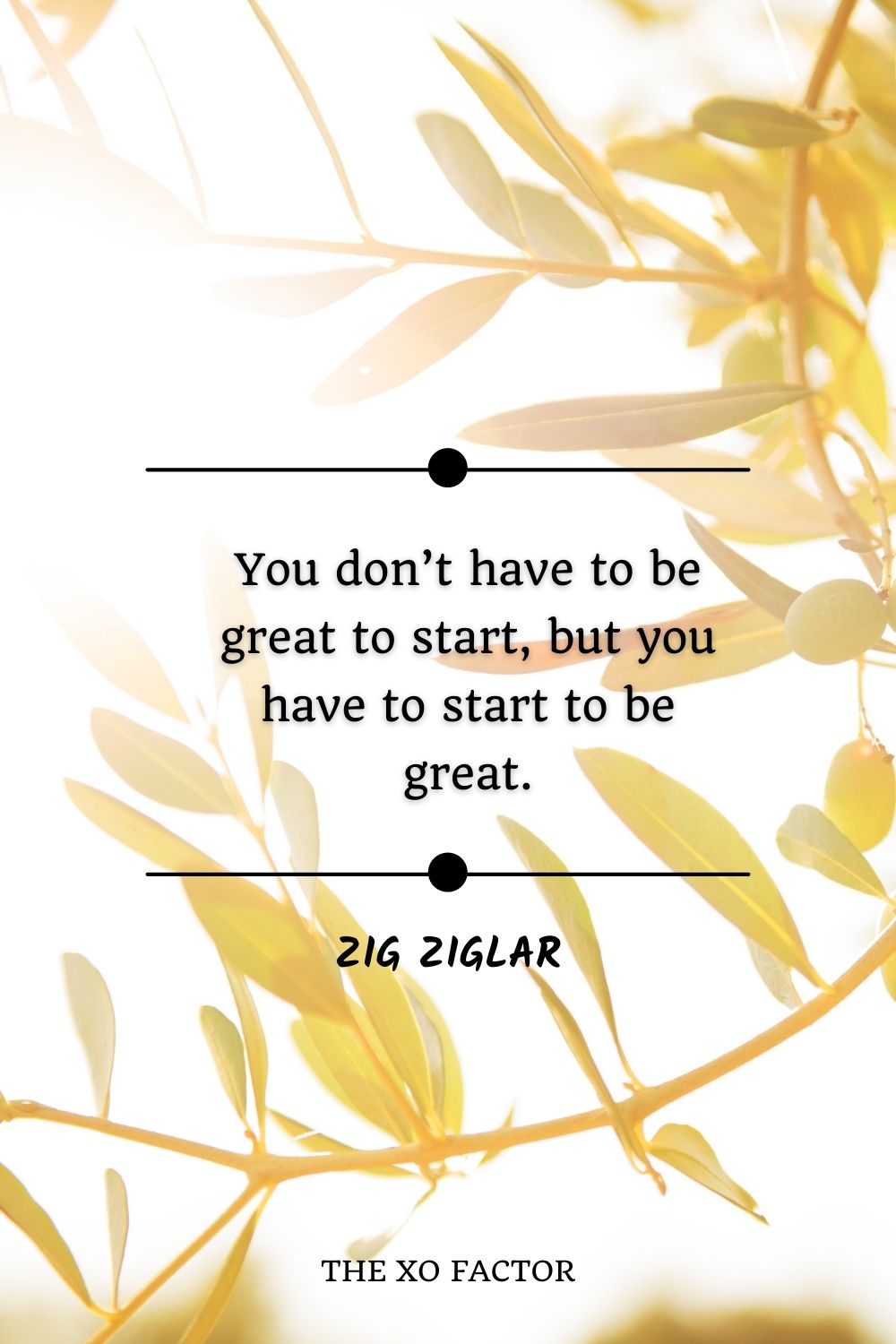 You don’t have to be great to start, but you have to start to be great.” – Zig Ziglar