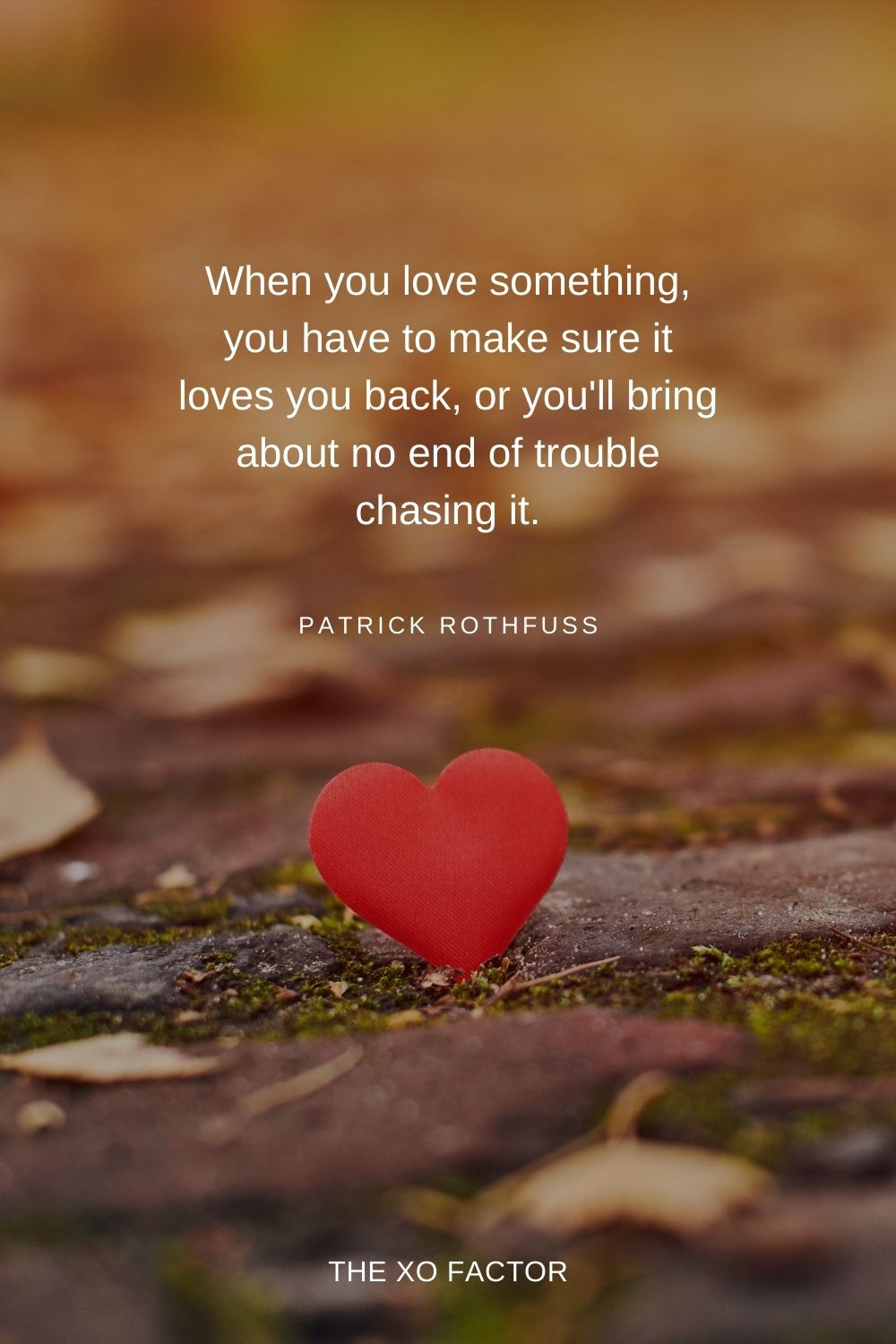 When you love something, you have to make sure it loves you back, or you'll bring about no end of trouble chasing it. Patrick Rothfuss