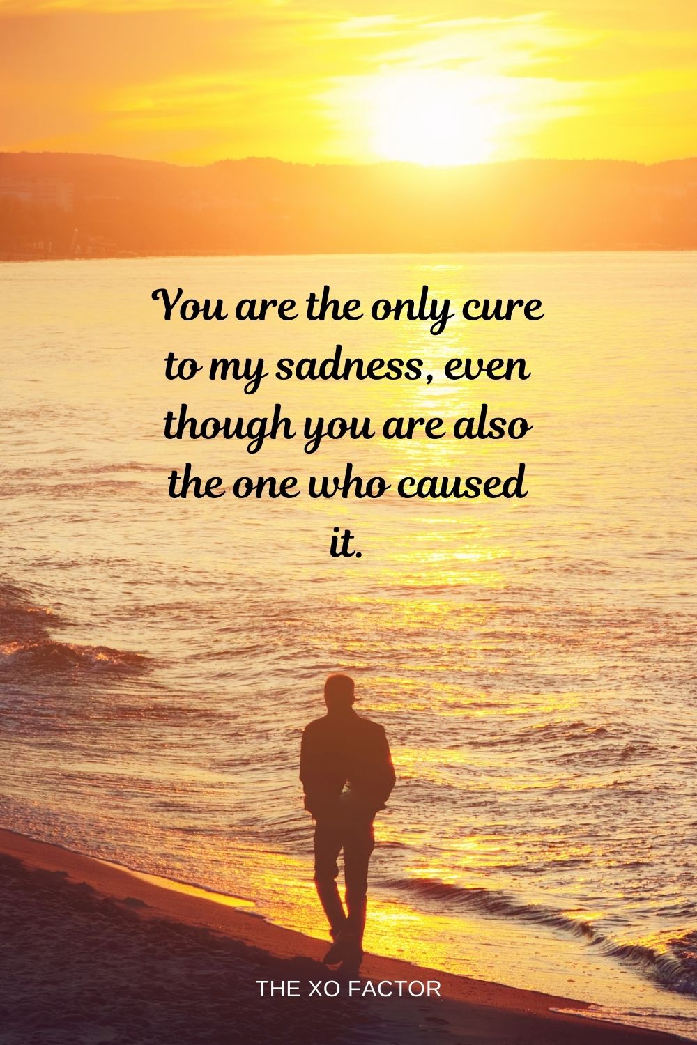 You are the only cure to my sadness, even though you are also the one who caused it.