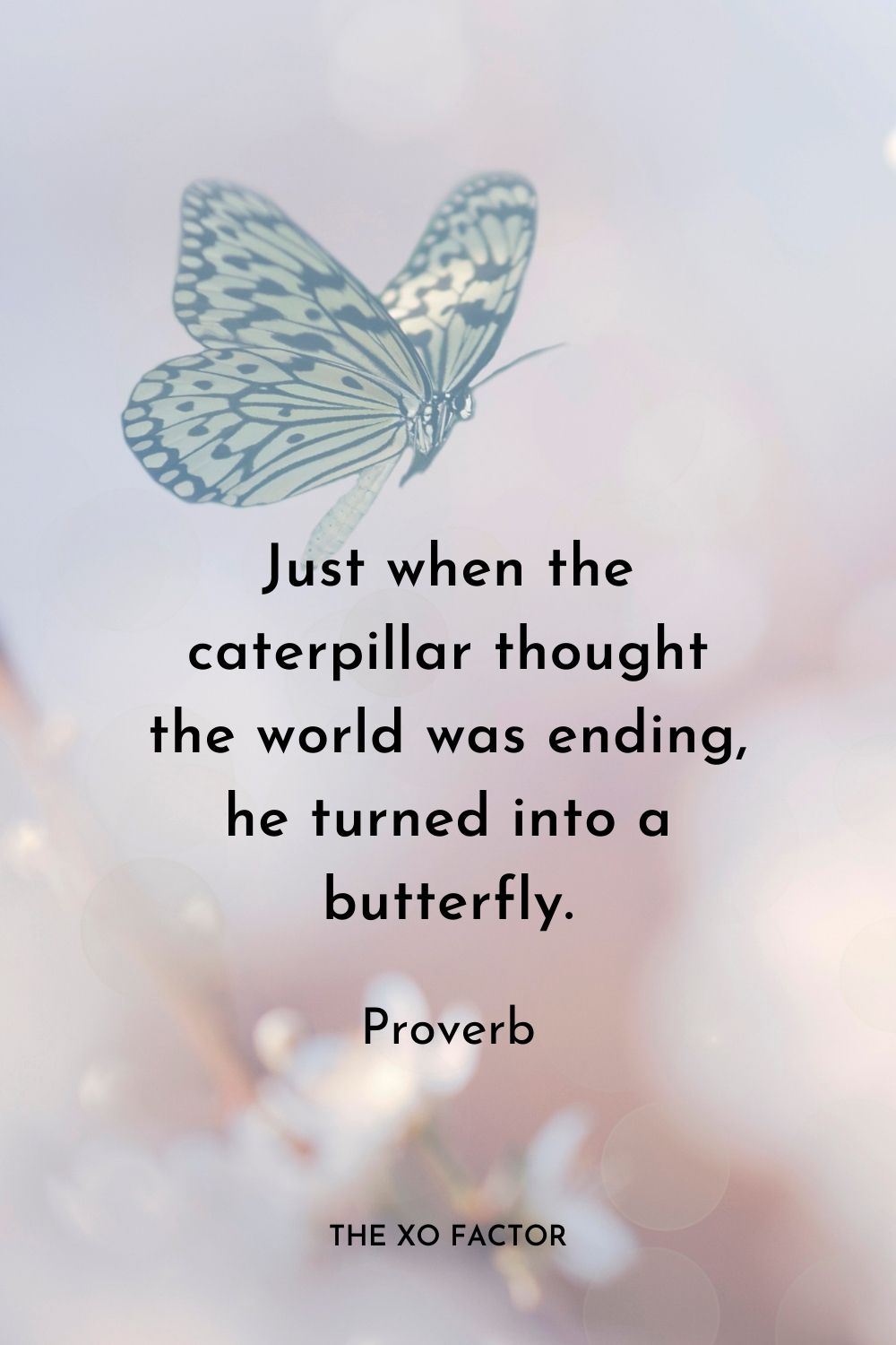 Just when the caterpillar thought the world was ending, he turned into a butterfly.