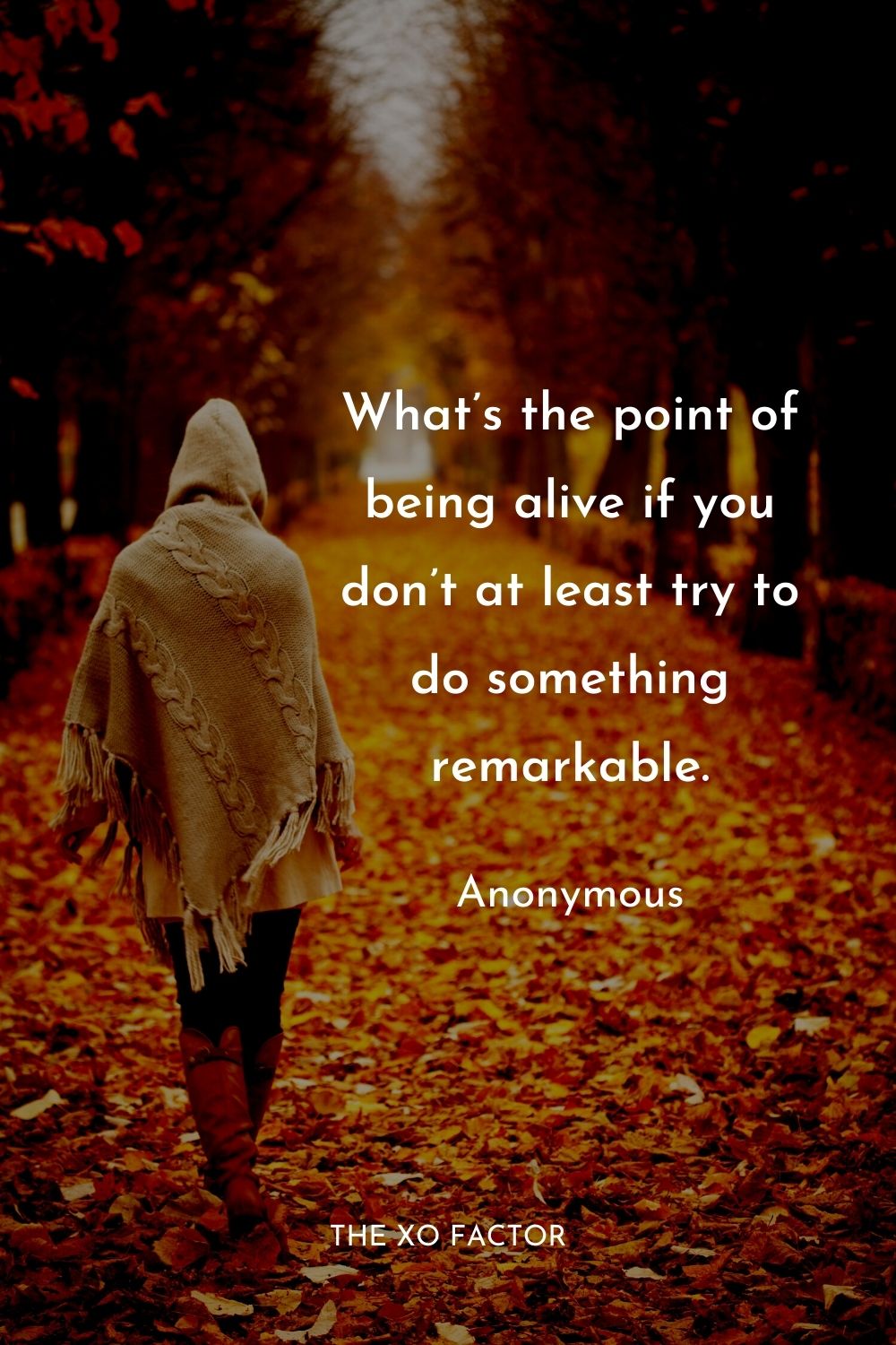 What’s the point of being alive if you don’t at least try to do something remarkable.