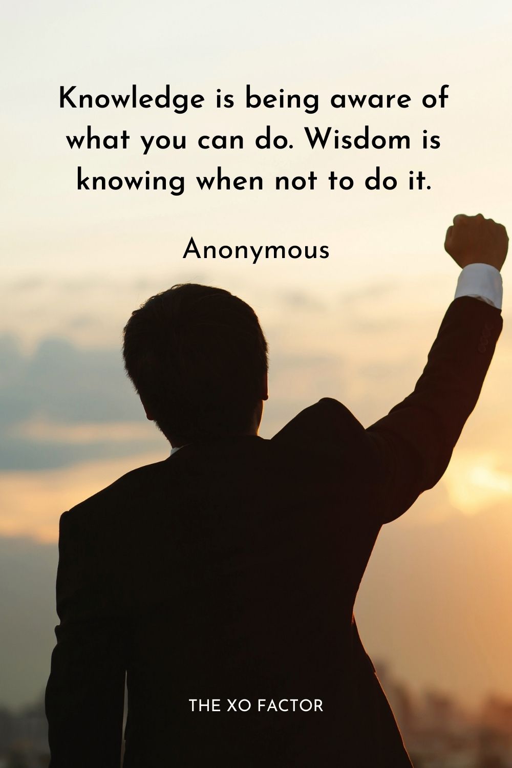 Knowledge is being aware of what you can do. Wisdom is knowing when not to do it.