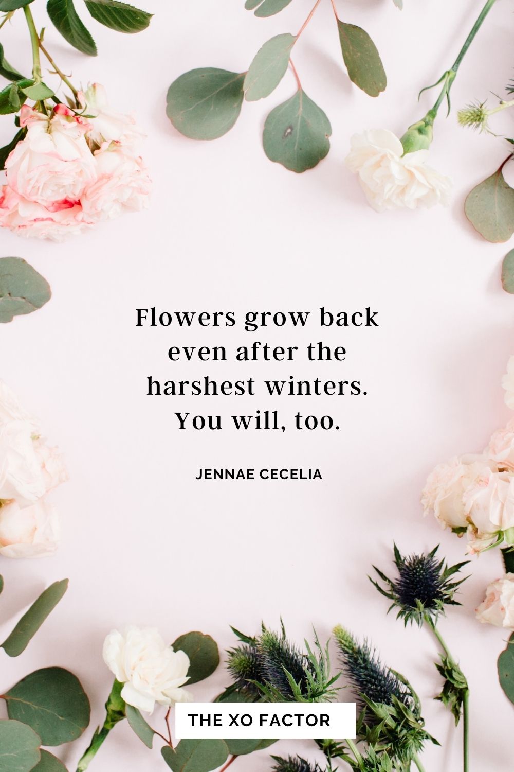 Flowers grow back even after the harshest winters. You will, too. Jennae Cecelia