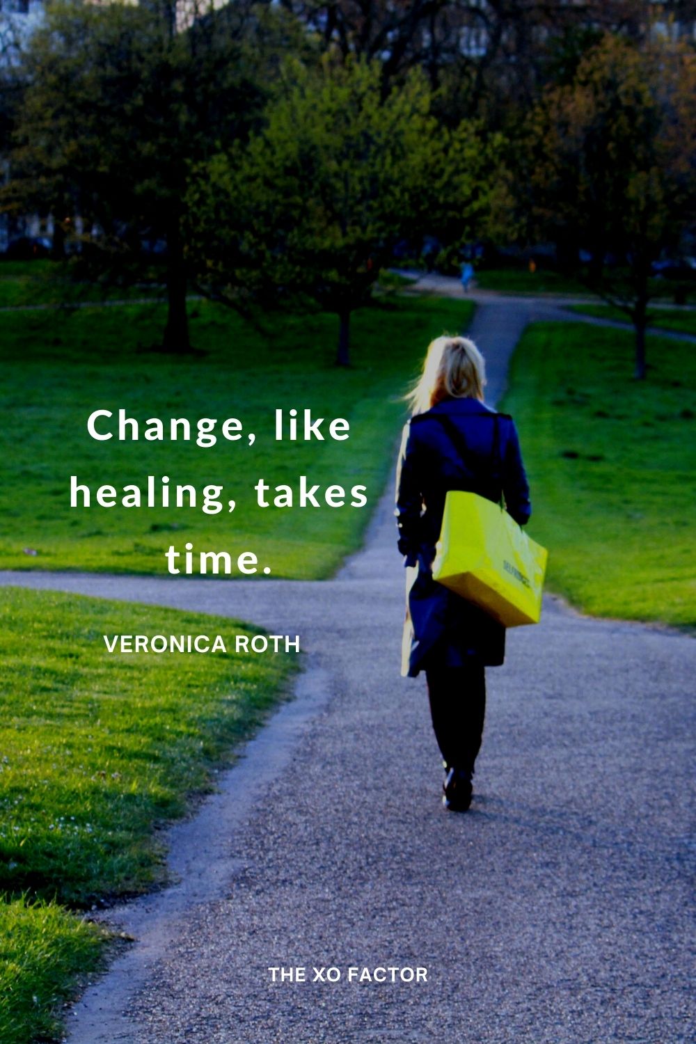 Change, like healing, takes time. - change quotes