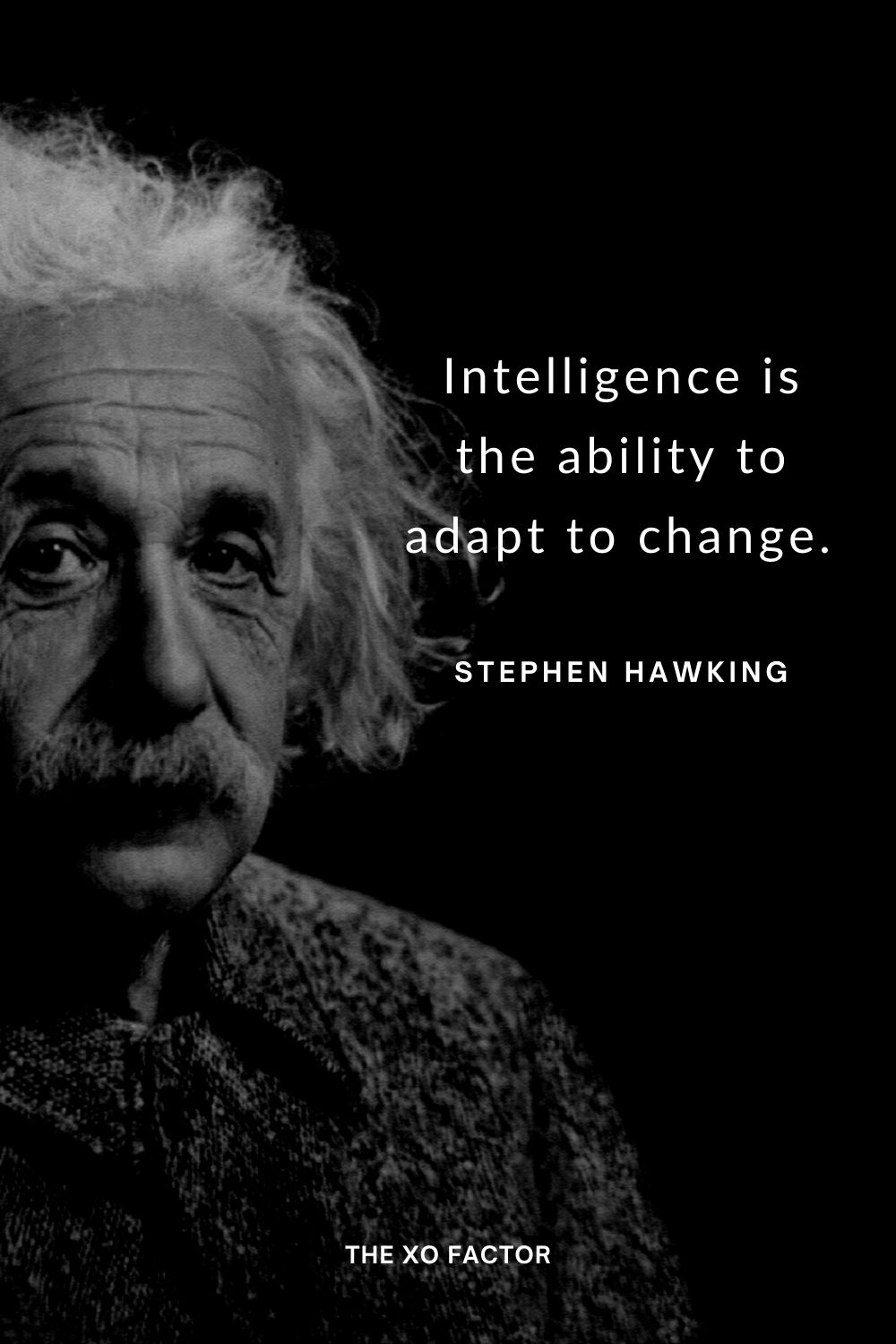 Intelligence is the ability to adapt to change. Stephen Hawking