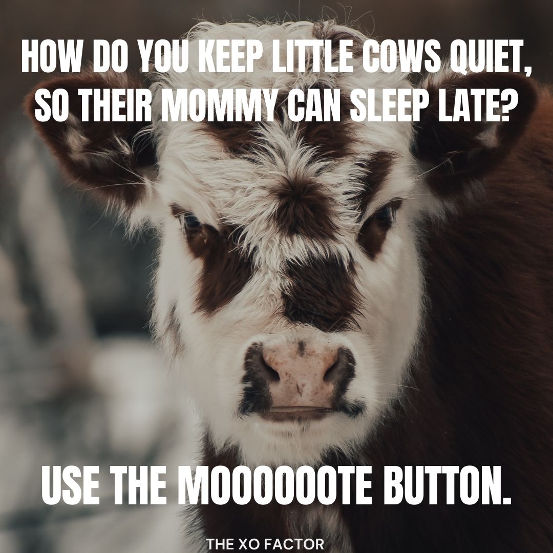 How do you keep little cows quiet, so their mommy can sleep late? Use the moooooote button.