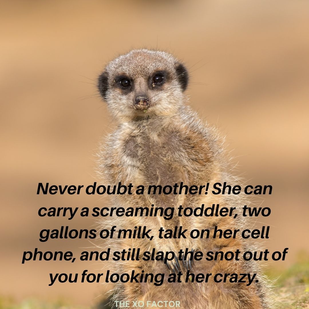Never doubt a mother! She can carry a screaming toddler, two gallons of milk, talk on her cell phone, and still slap the snot out of you for looking at her crazy.