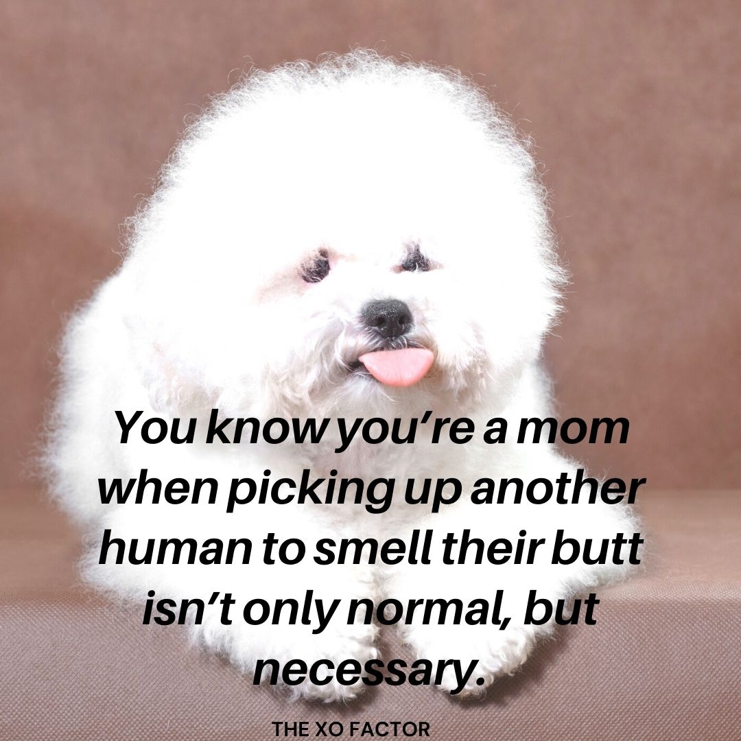 You know you’re a mom when picking up another human to smell their butt isn’t only normal, but necessary.