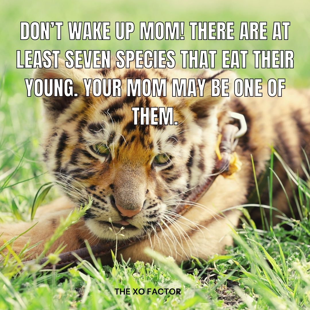 Don’t wake up mom! There are at least seven species that eat their young. Your mom may be one of them.