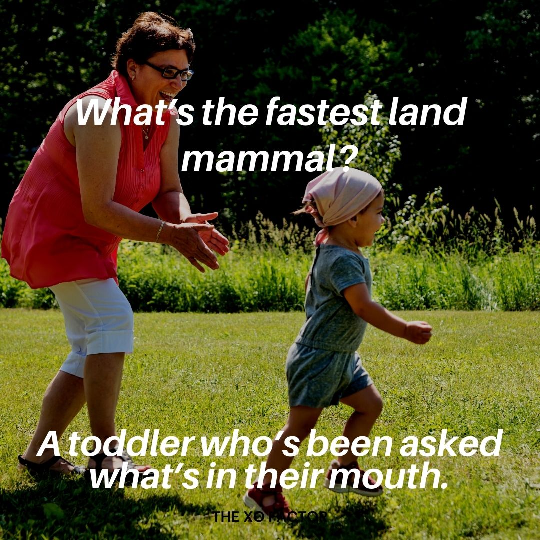 What’s the fastest land mammal? A toddler who’s been asked what’s in their mouth.  mothers day jokes