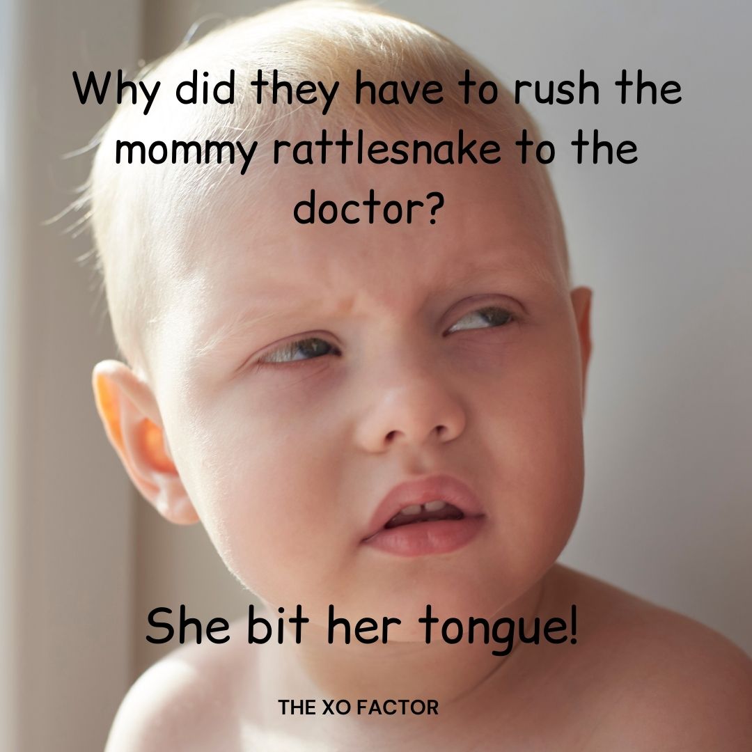  Why did they have to rush the mommy rattlesnake to the doctor? 