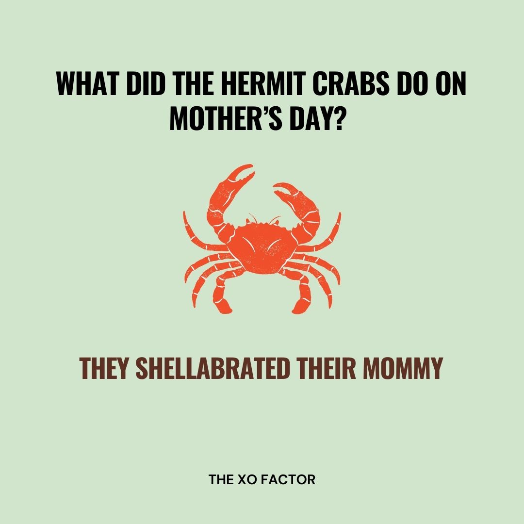 What did the hermit crabs do on Mother’s Day? They shellabrated their mommy.