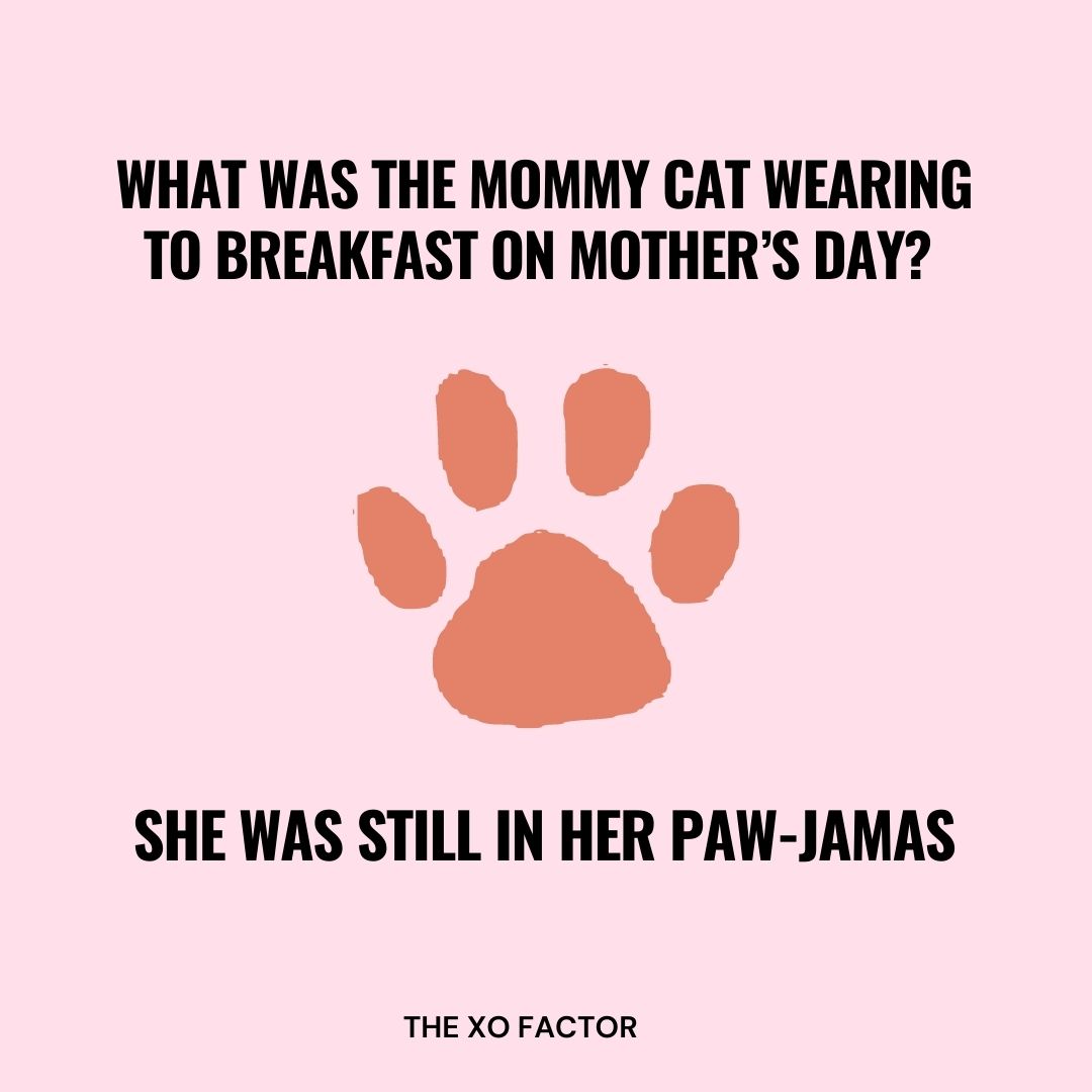 What was the mommy cat wearing to breakfast on Mother’s Day? She was still in her paw-jamas.