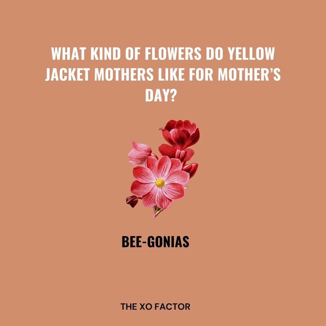 What kind of flowers do yellow jacket mothers like for Mother’s Day? Bee-gonias.