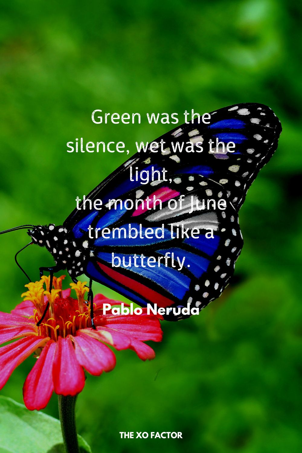Green was the silence, wet was the light, the month of June trembled like a butterfly. Pablo Neruda