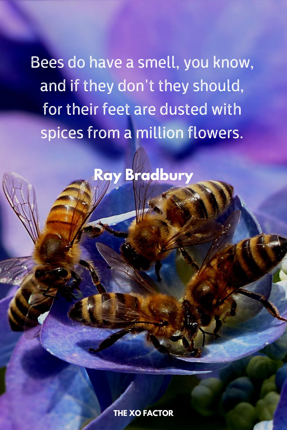 Bees do have a smell, you know, and if they don't they should, for their feet are dusted with spices from a million flowers.