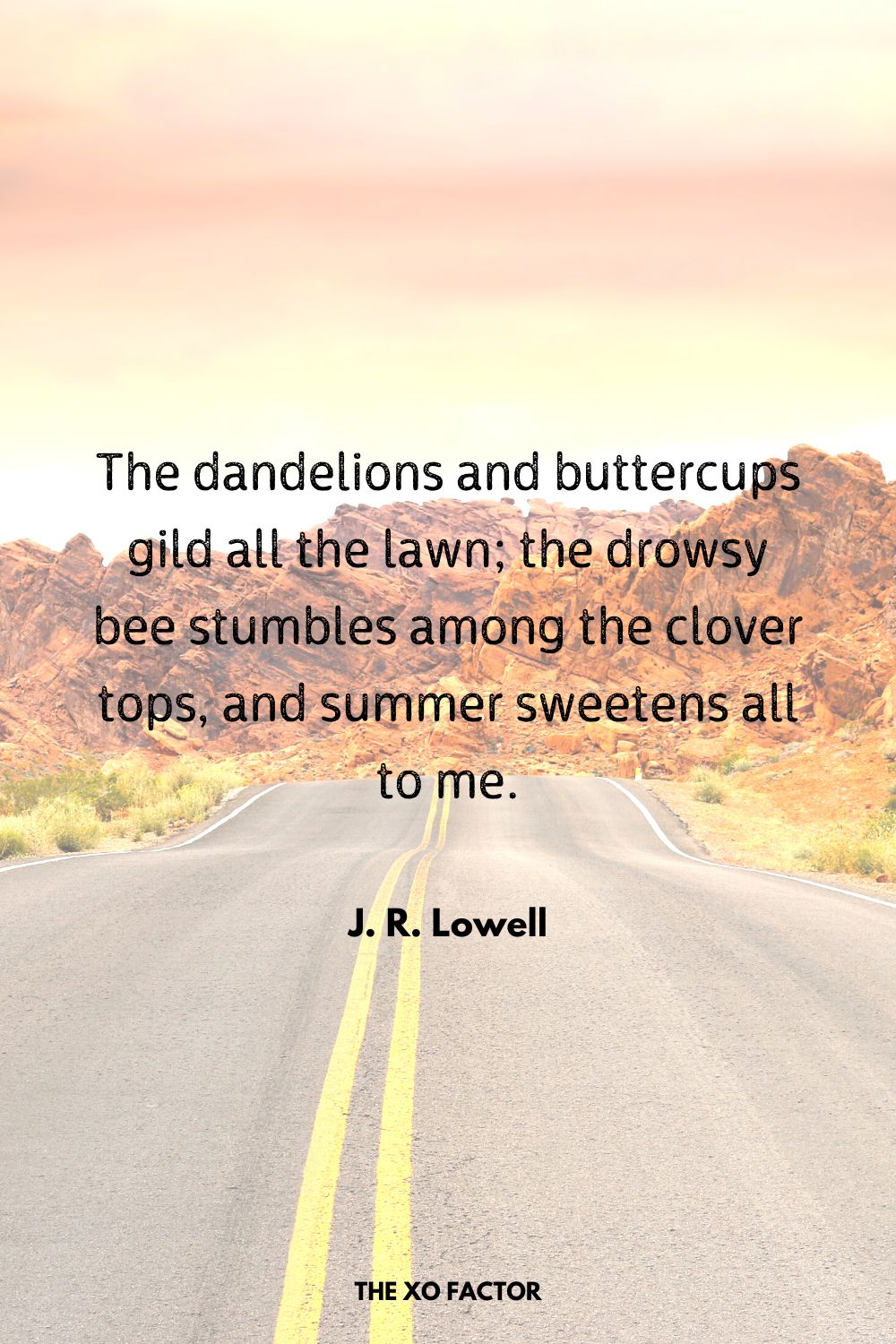 The dandelions and buttercups gild all the lawn; the drowsy bee stumbles among the clover tops, and summer sweetens all to me.