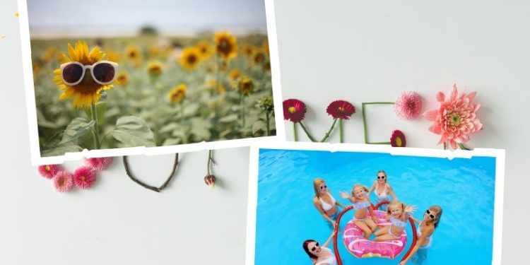 80 Summer Quotes To Get You In The Sunshine Spirit