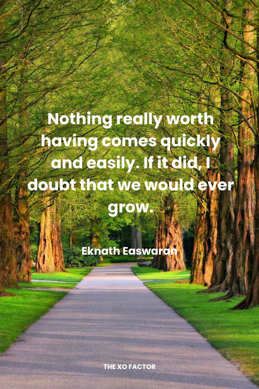 Nothing really worth having comes quickly and easily.  If it did, I doubt that we would ever grow. Eknath Easwaran Determination Quotes