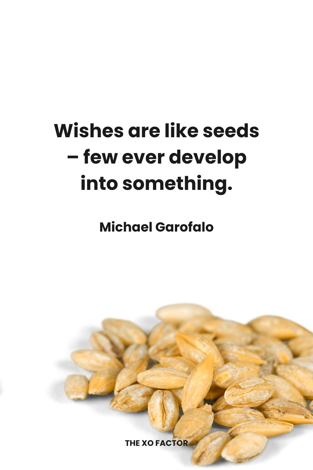 Wishes are like seeds – few ever develop into something. Michael Garofalo