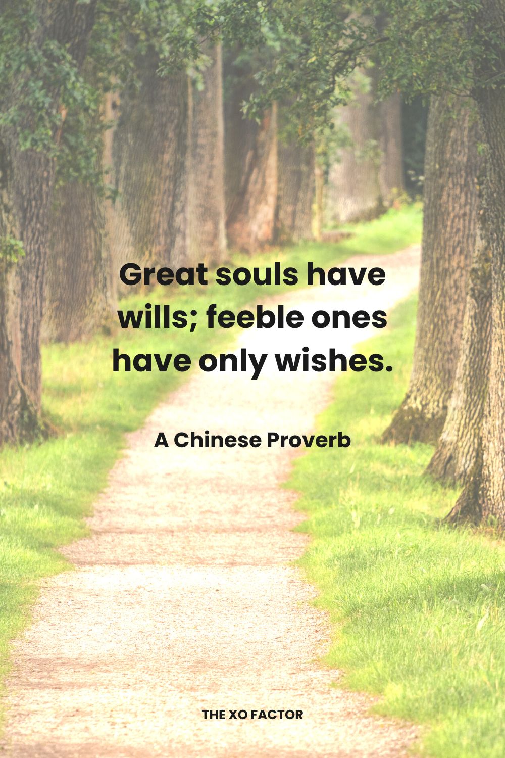 Great souls have wills; feeble ones have only wishes. A Chinese Proverb
