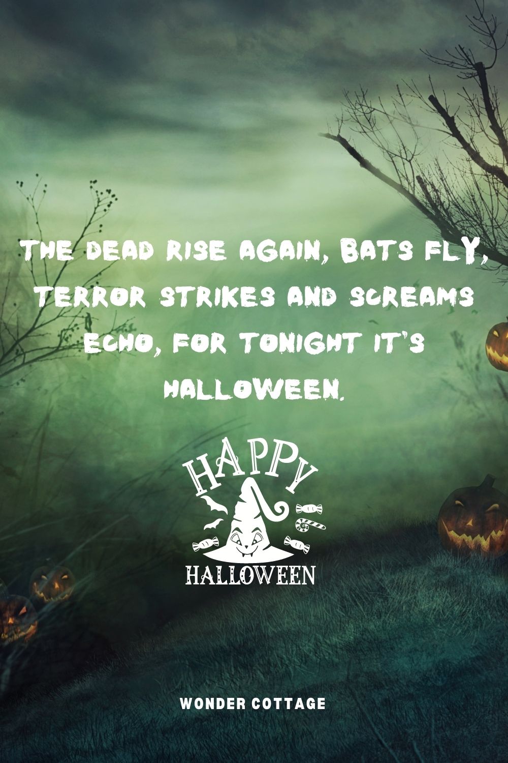 The dead rise again, bats fly, terror strikes and screams echo, for tonight it's Halloween.