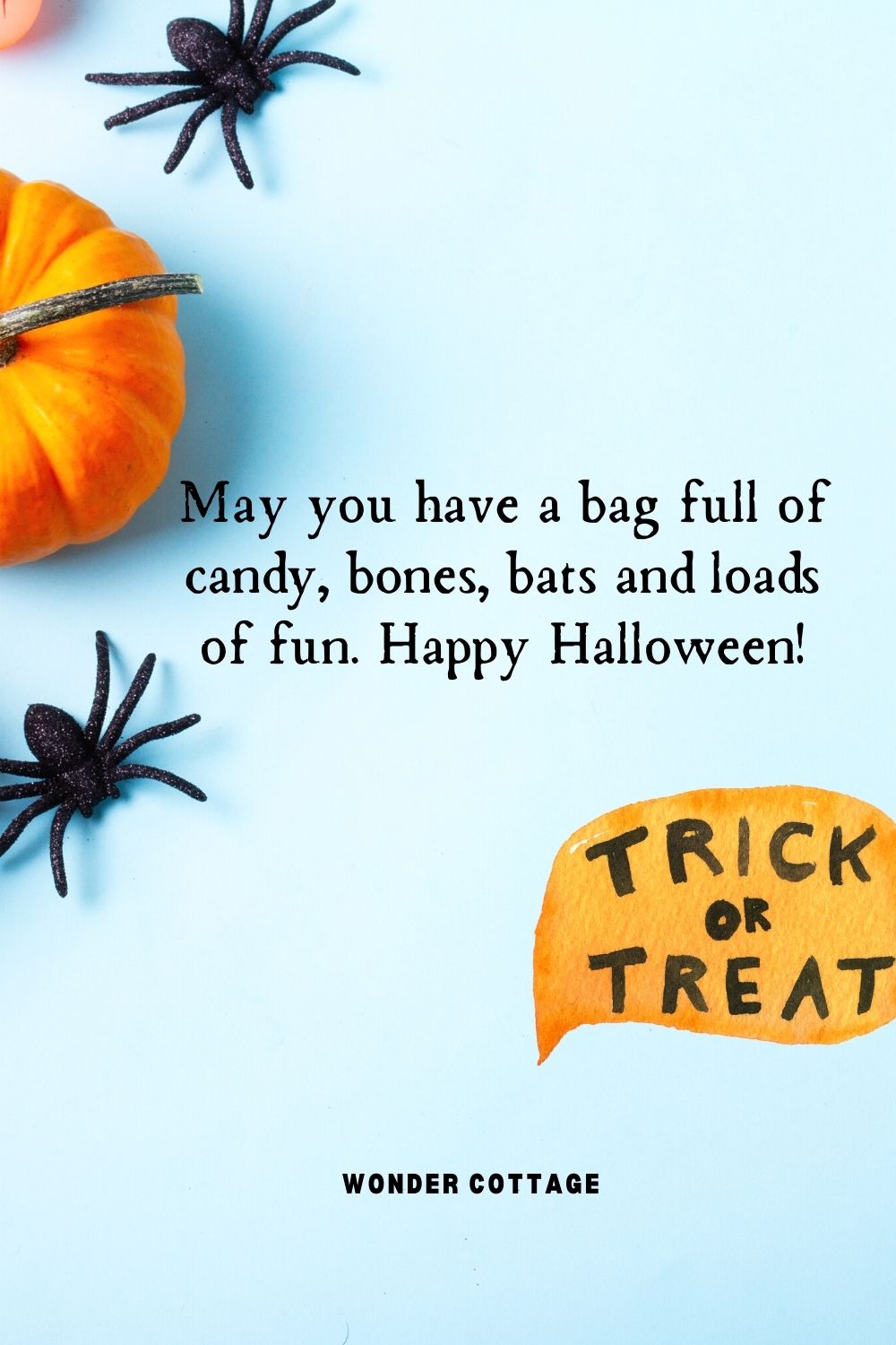 May you have a bag full of candy, bones, bats and loads of fun. Happy Halloween!