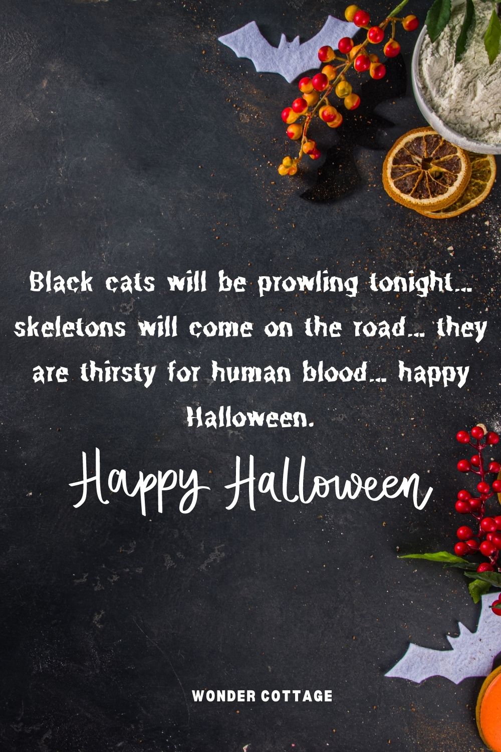Black cats will be prowling tonight… skeletons will come on the road… they are thirsty for human blood… happy Halloween.