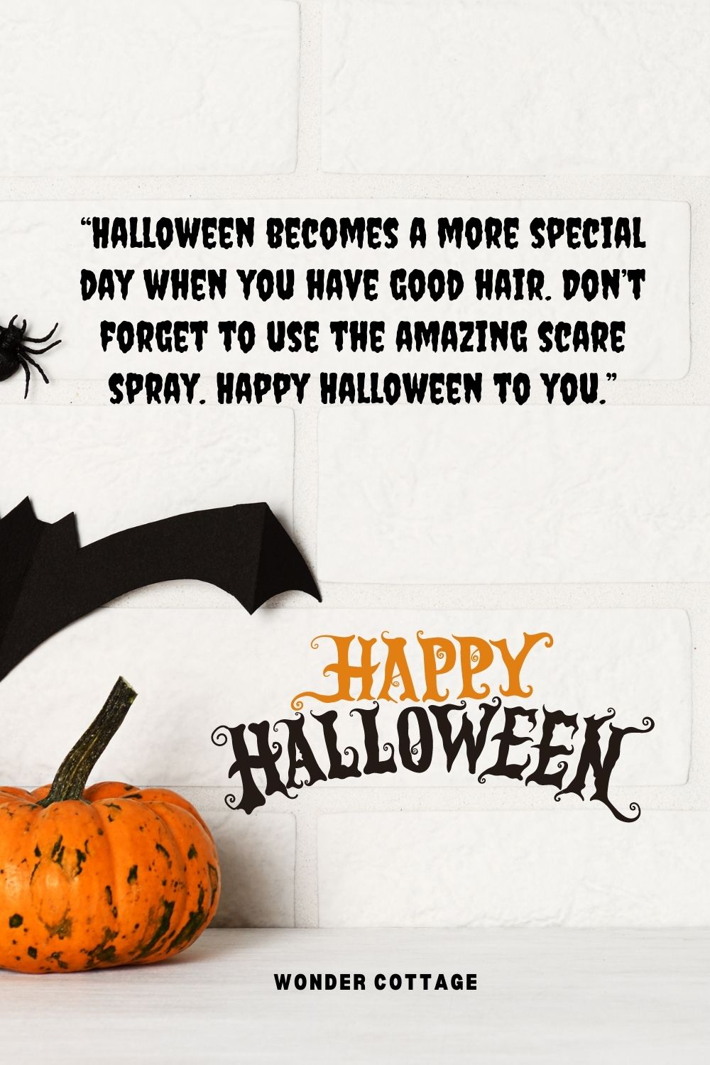 “Halloween becomes a more special day when you have good hair. Don’t forget to use the amazing scare spray. Happy Halloween to you.”