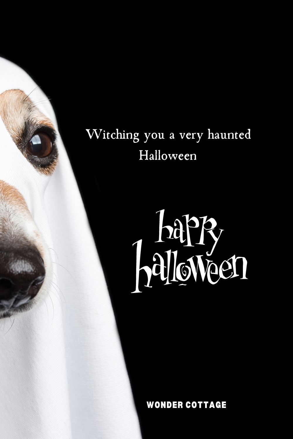 Witching you a very haunted Halloween