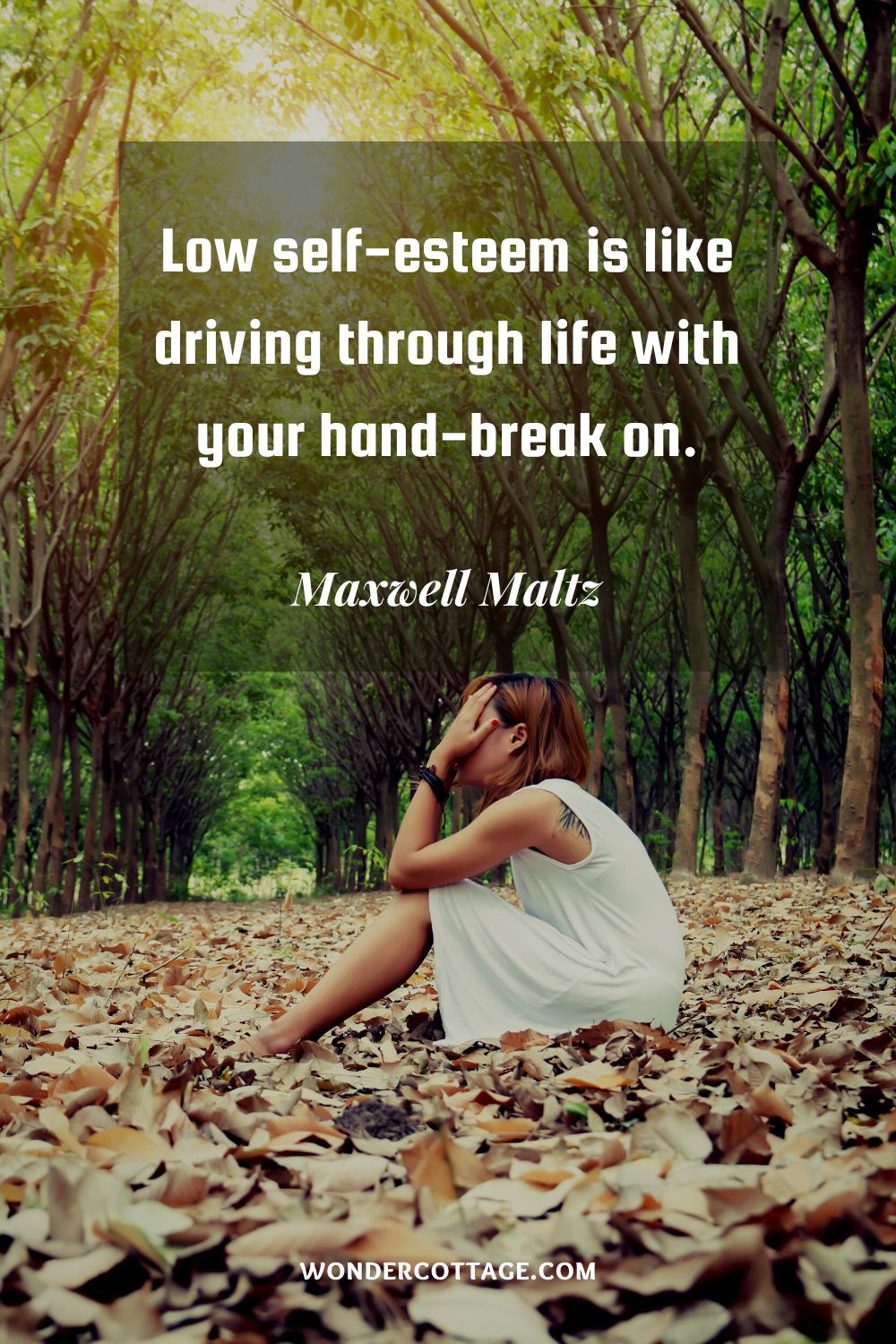 Low self-esteem is like driving through life with your hand-break on. Maxwell Maltz