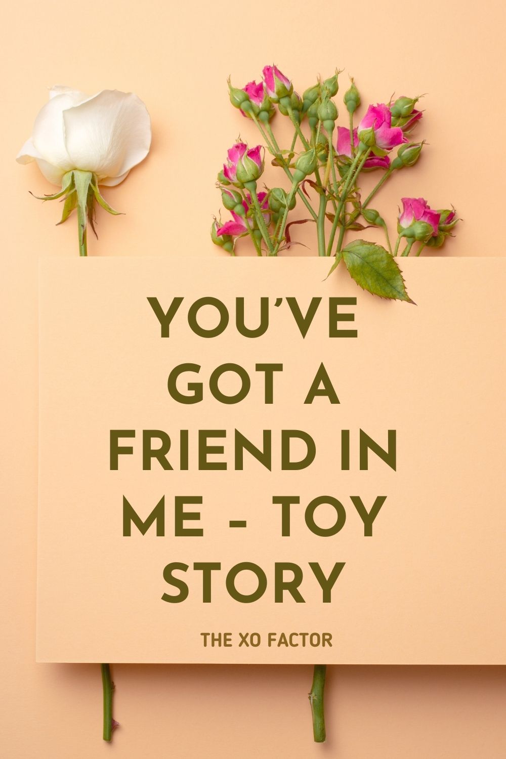You’ve got a friend in me – Toy Story