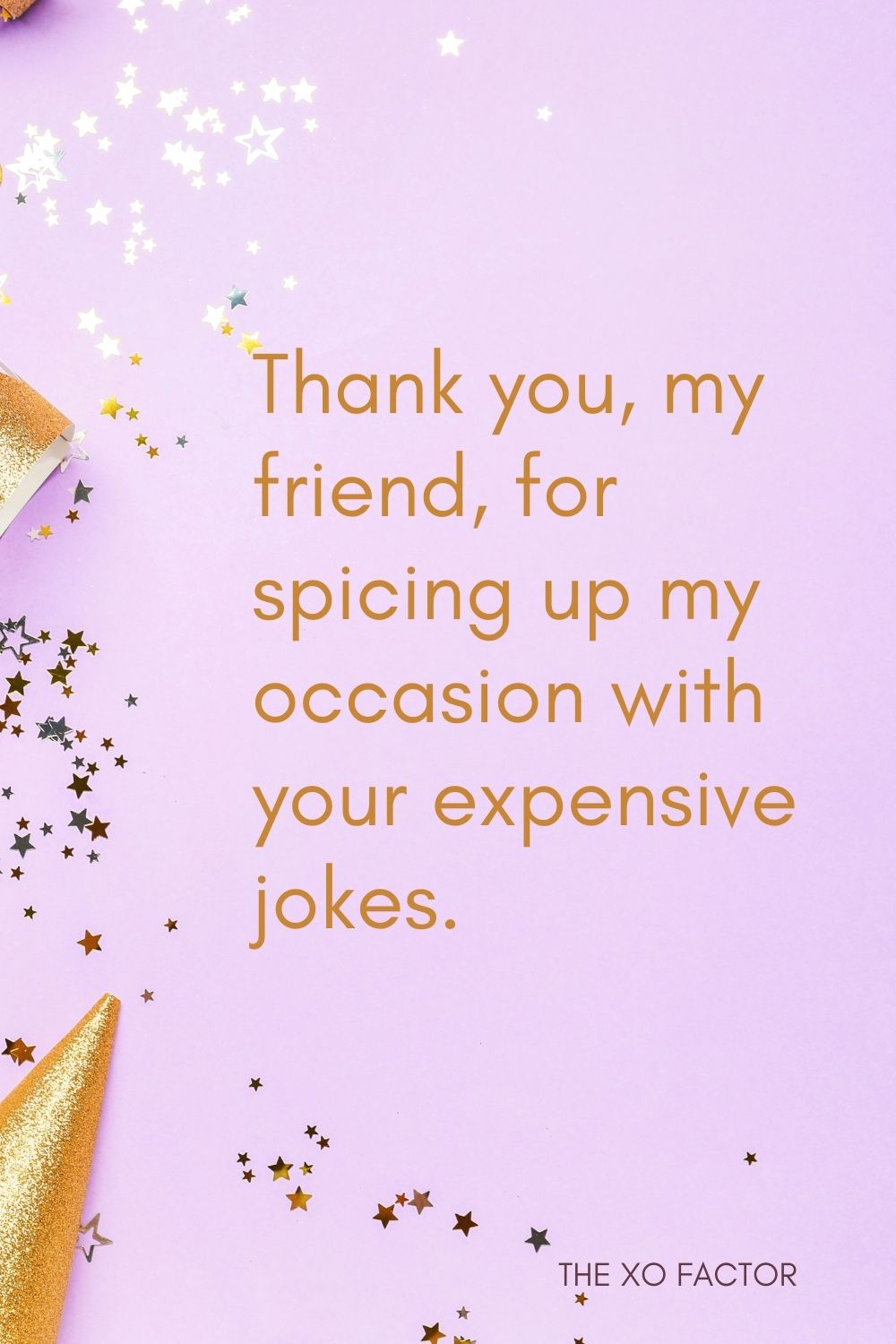 Thank you, my friend, for spicing up my occasion with your expensive jokes.