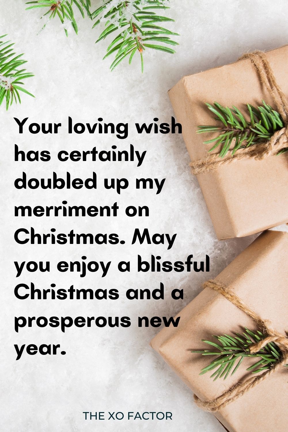Your loving wish has certainly doubled up my merriment on Christmas. May you enjoy a blissful Christmas and a prosperous new year.