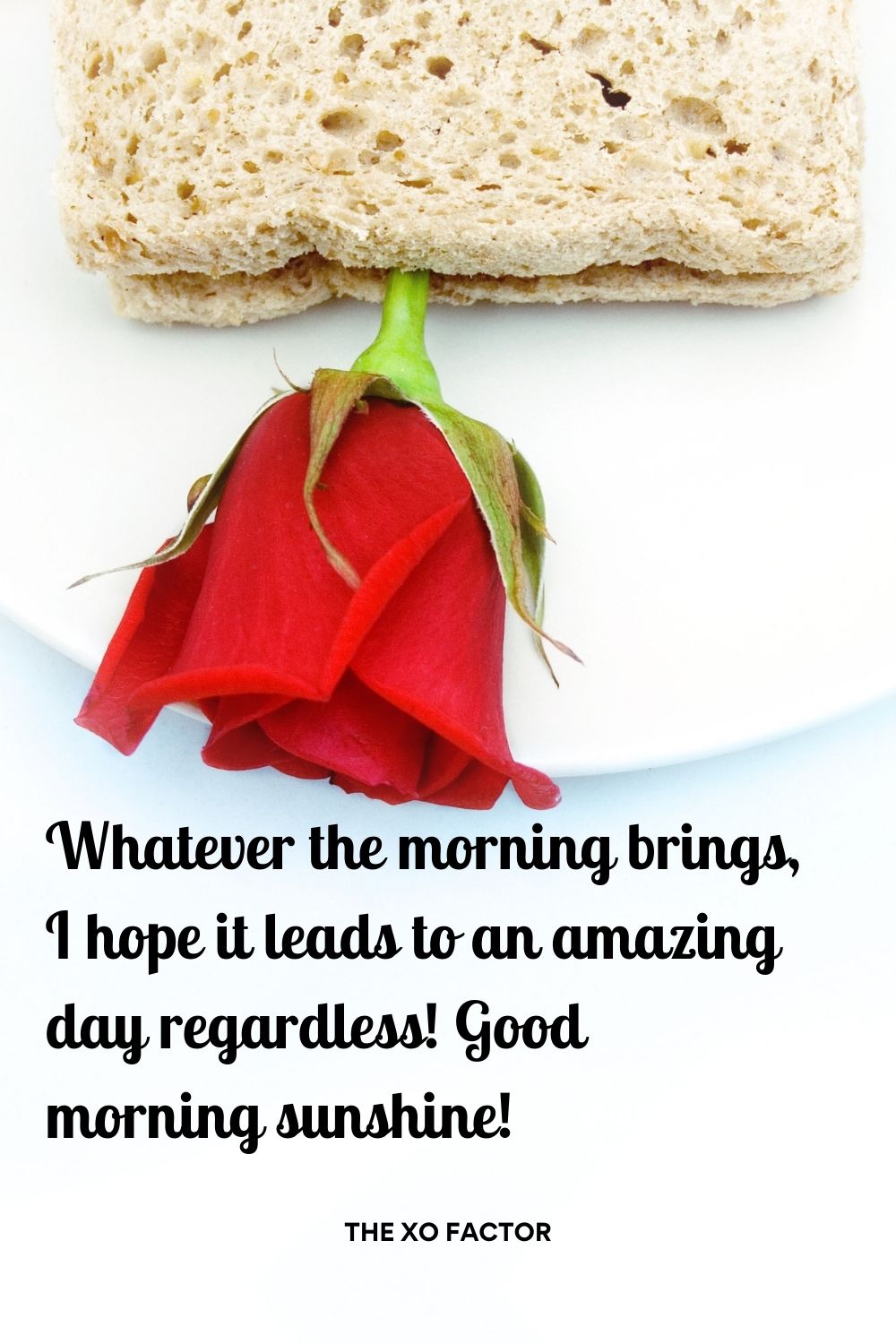Whatever the morning brings, I hope it leads to an amazing day regardless! Good morning sunshine!